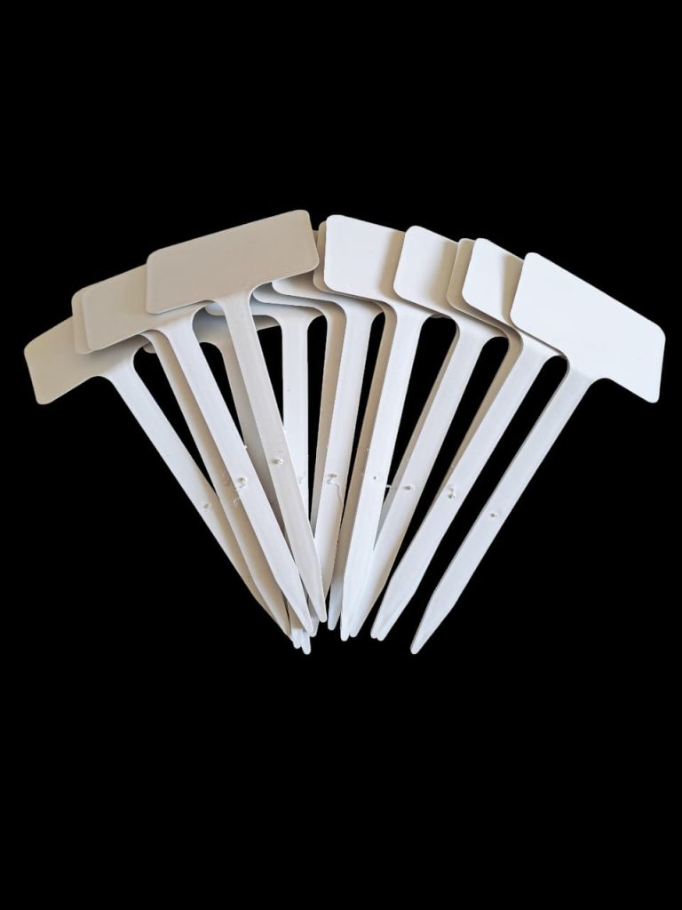 identificador para plantas pincho SL160 100 und